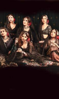 Heeramandi on OTT: Before Sanjay Leela Bhansali's web series, check interesting facts about Kothewalis