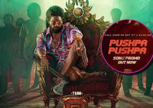 Pushpa 2: अल्लू अर्जुन की मूवी के गाने 'पुष्पा पुष्पा' का धांसू प्रोमो वीडियो जारी, झूमने को मजबूर हुए लोग