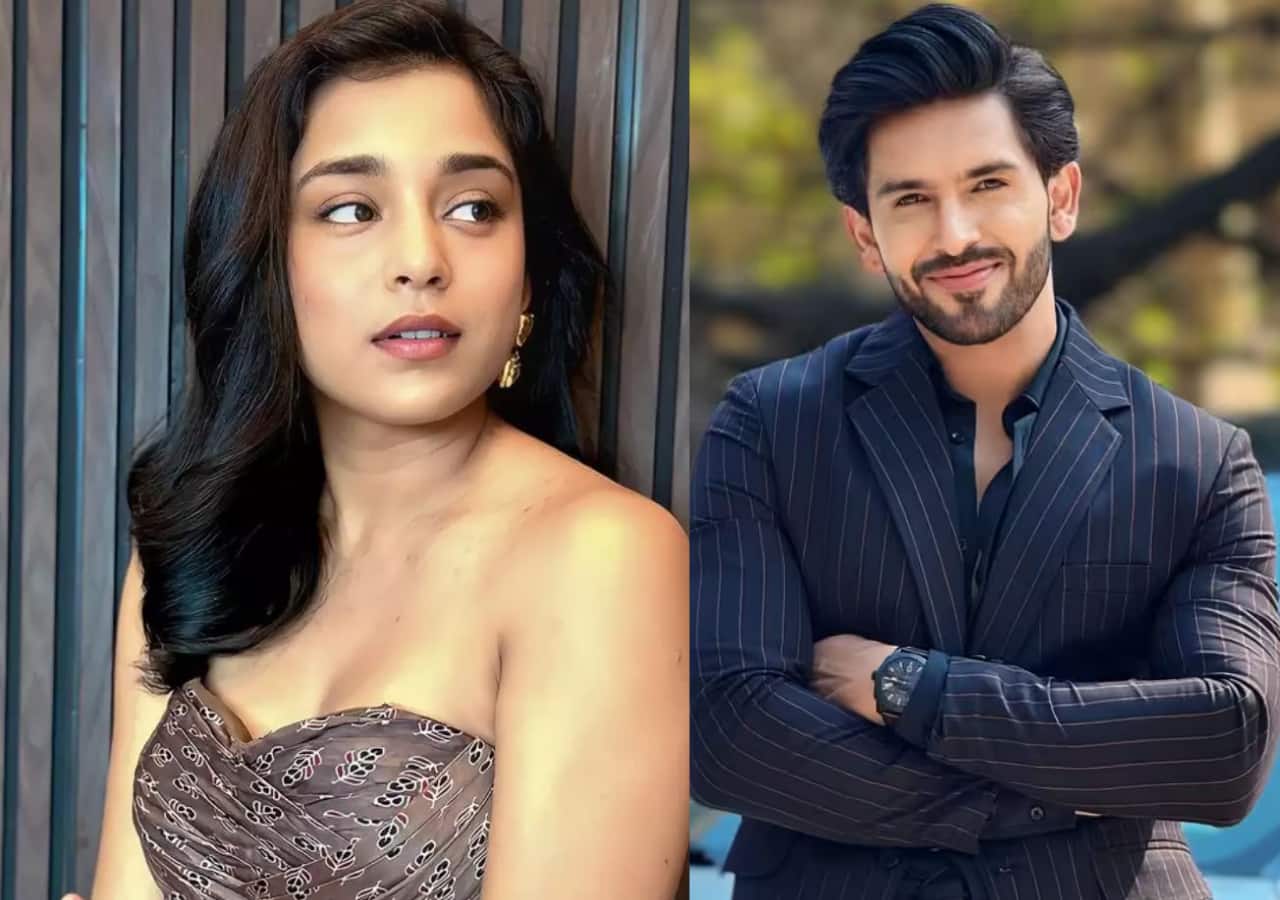 Naagin 7 serial: Sumbul Touqeer REACTS on working with Shehzada Dhami ...
