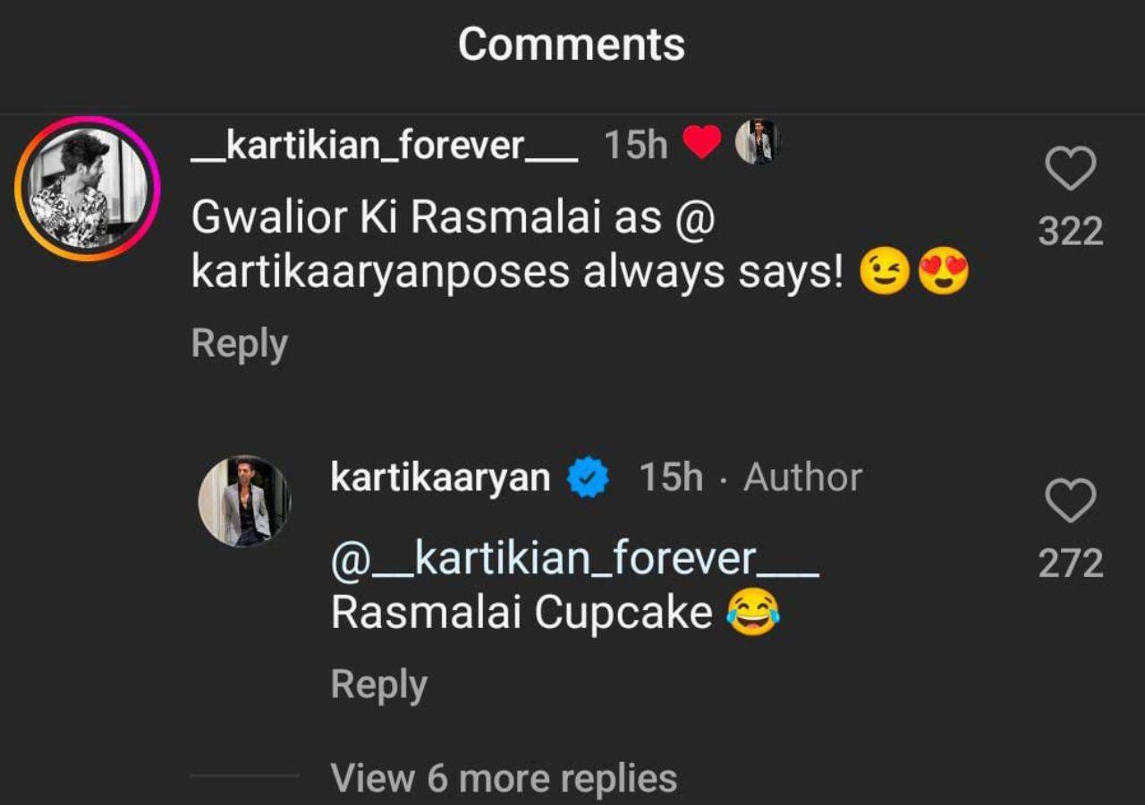 What if Kartik Aaryan was a cupcake? Check out what Chandu Champion star's fans have to say