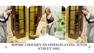 Sophie Choudry was snapped playing with the stray dog, video will win your hearts