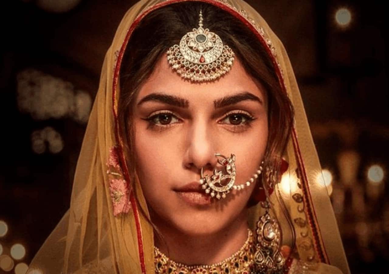 Heeramandi on Netflix: Sharmin Segal aka Alamzeb turns off her social media comments section; here's why