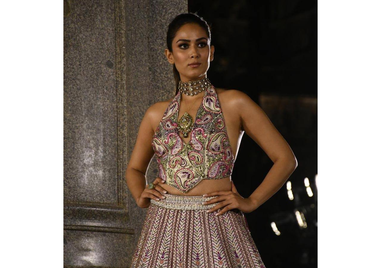 Mira Rajput is a muse