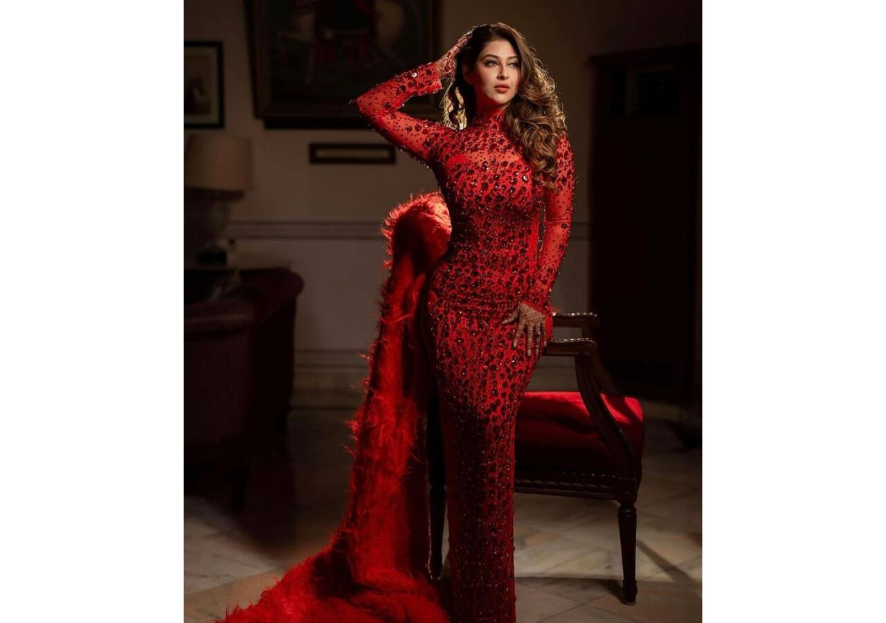 TV bahus with curvaceous frames: Sonarika Bhadoria 