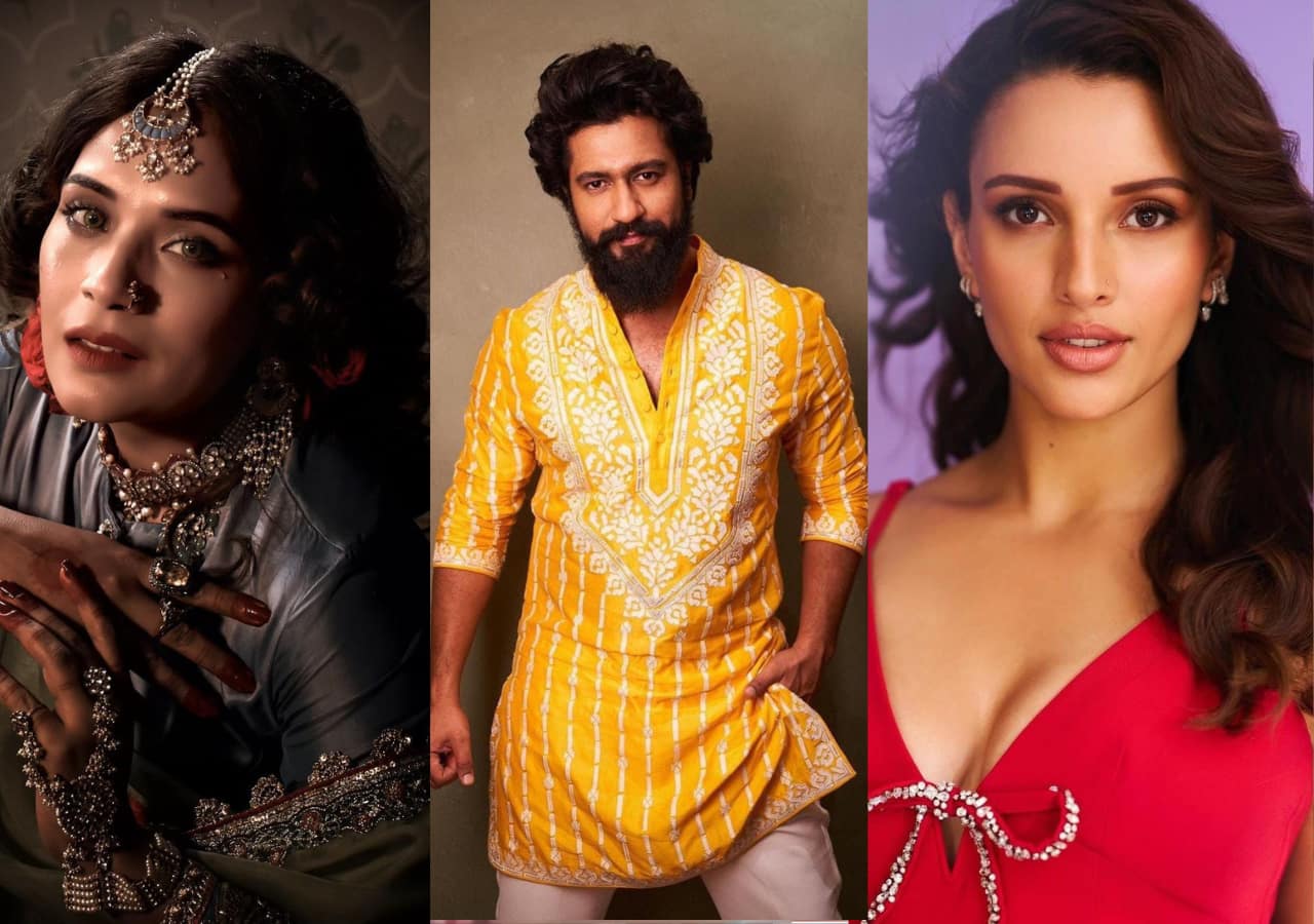 Richa Chadha, Triptii Dimri To Vicky Kaushal: 8 Characters That ...