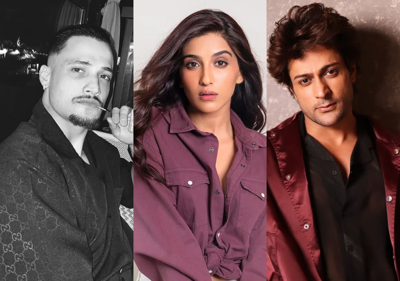 Khatron Ke Khiladi 14 first elimination: Asim Riaz, Nimrit Kaur Ahluwalia, Abhishek Kumar, Shalin Bhanot in danger zone?