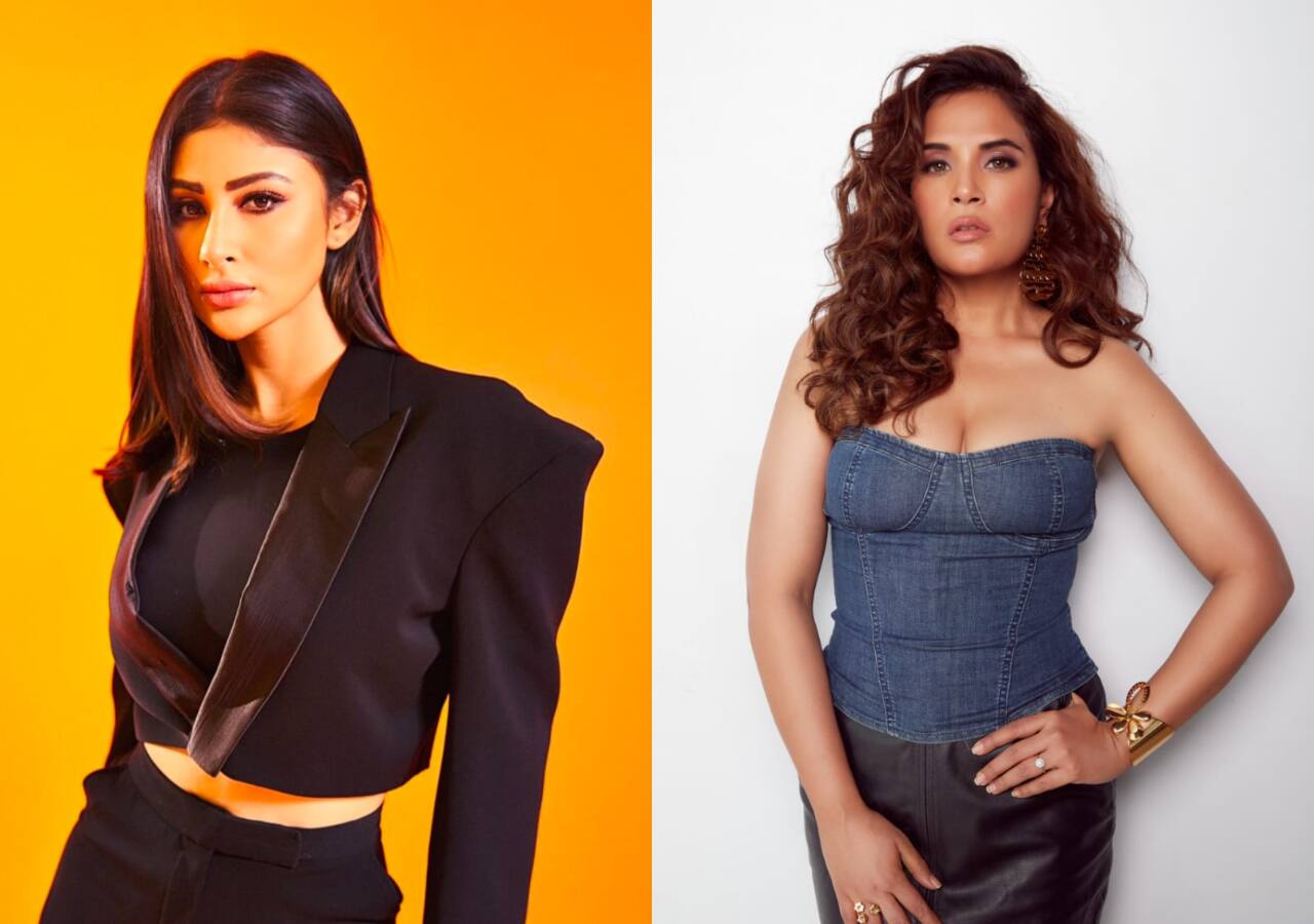 Mouni Roy, Richa Chadha, Vidya Balan and other female stars who owned the screen as antagonists