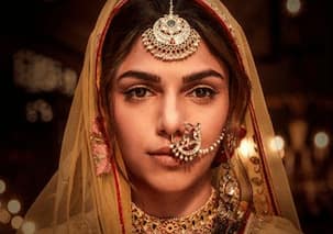 Heeramandi star Sharmin Segal speaks about being dissatisfied with her appearance sometimes; 'Coming to terms...'