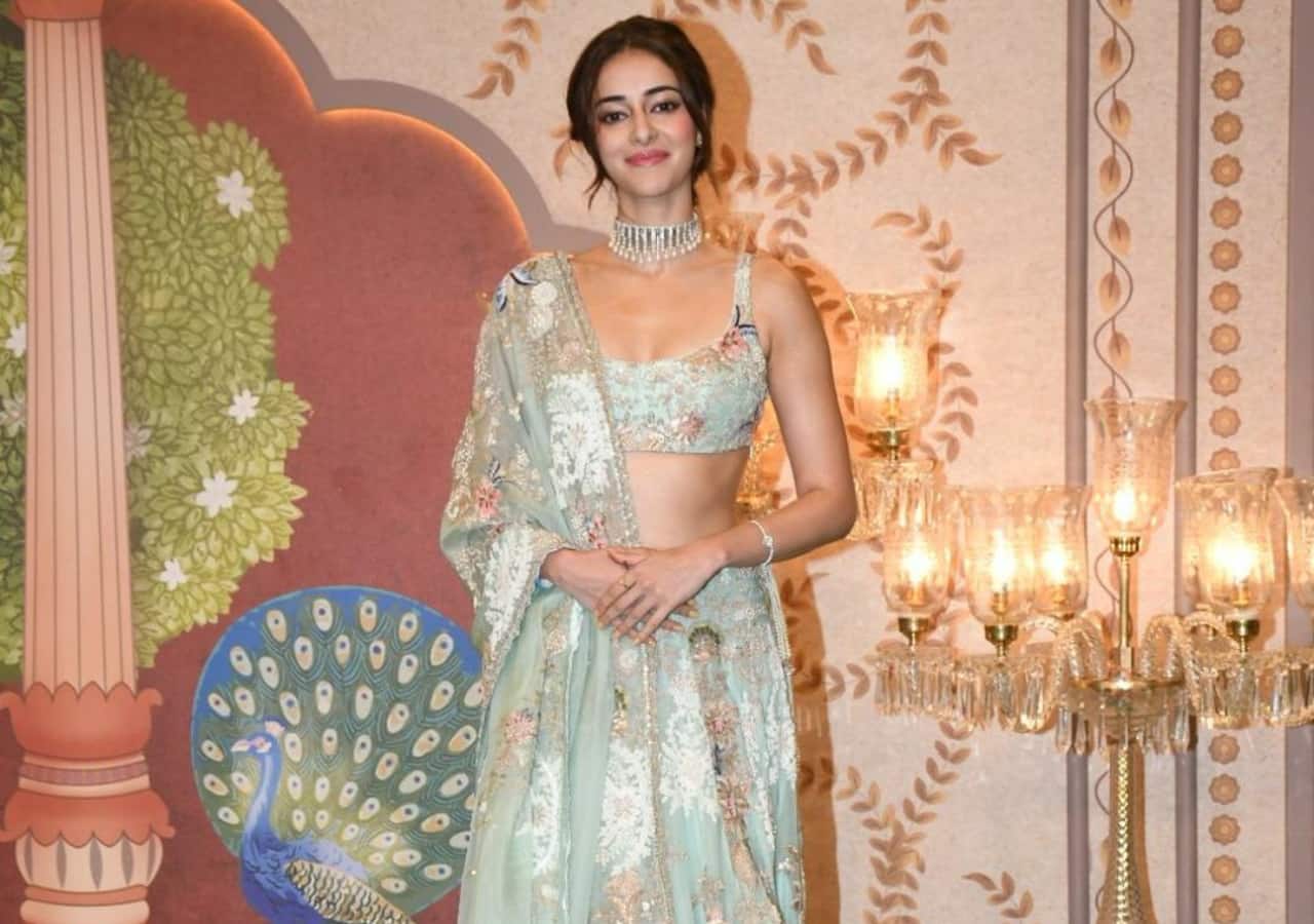 Ananya Panday is hotness alert