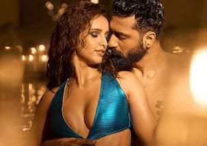 Bad Newz box office collection day 2: Vicky Kaushal, Ammy Virk, Triptii Dimri starrer continues to mint heavy; witnesses jump on Saturday