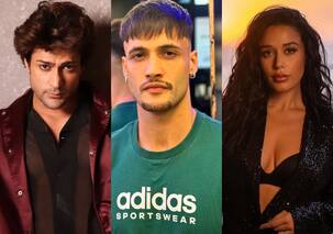 Khatron Ke Khiladi 14: Shalin Bhanot, Asim Riaz or Krishna Shroff? Who are the top 6 finalists?