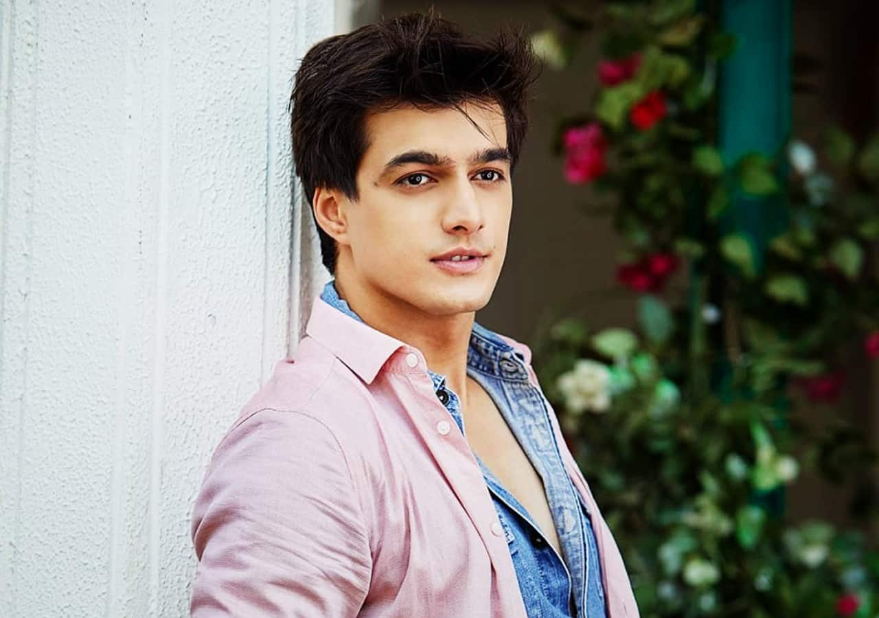 Not Kartik Goenka, Mohsin Khan was offered a different role in the show?