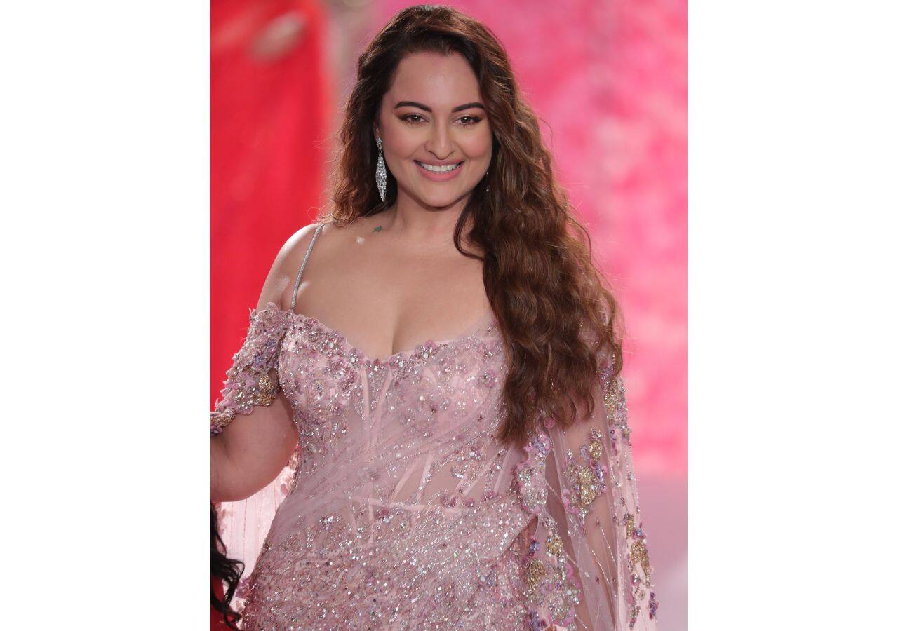 सोनाक्षी सिन्हा को लेकर ने किए गए कमेंट