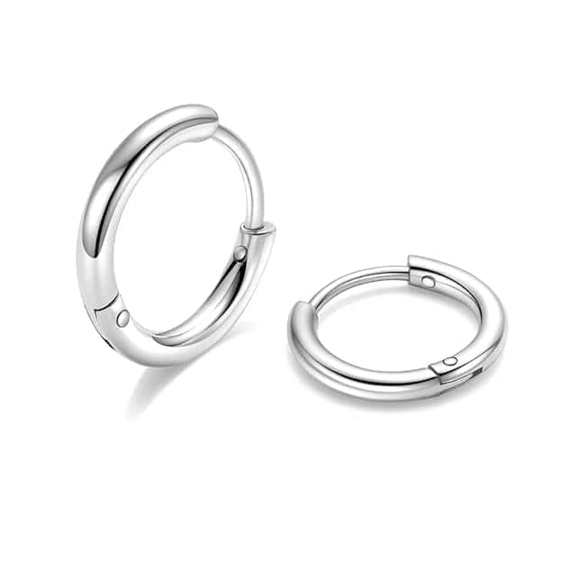 316L Surgical Stainless Steel earrings