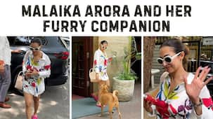 Malaika Arora steps out with her furry companion; video is too cute to miss [Video]