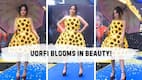 bollywoodlife.com top news