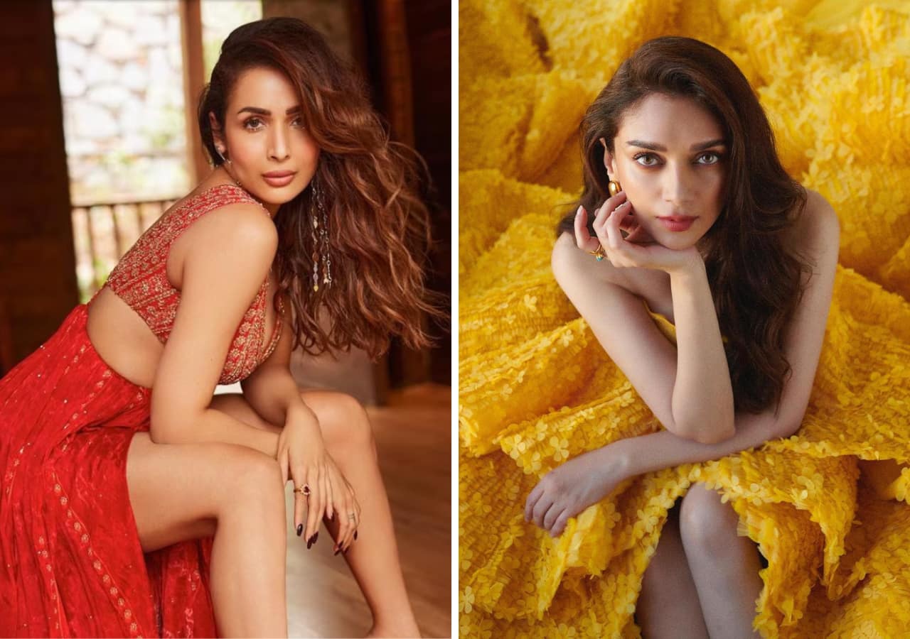 Malaika Arora to Aditi Rao Hydari: Bollywood actresses who became successful post divorce
