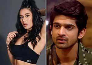 Khatron Ke Khiladi 14: Abhishek Kumar calls Krishna Shroff 'nepo kid' after she calls him channel's favourite [Watch]