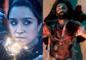 Stree 2 Box Office Collection: 'स्त्री 2' ने निकाला 'एनिमल' का दम, फिल्म ने कर लिया इतना कलेक्शन