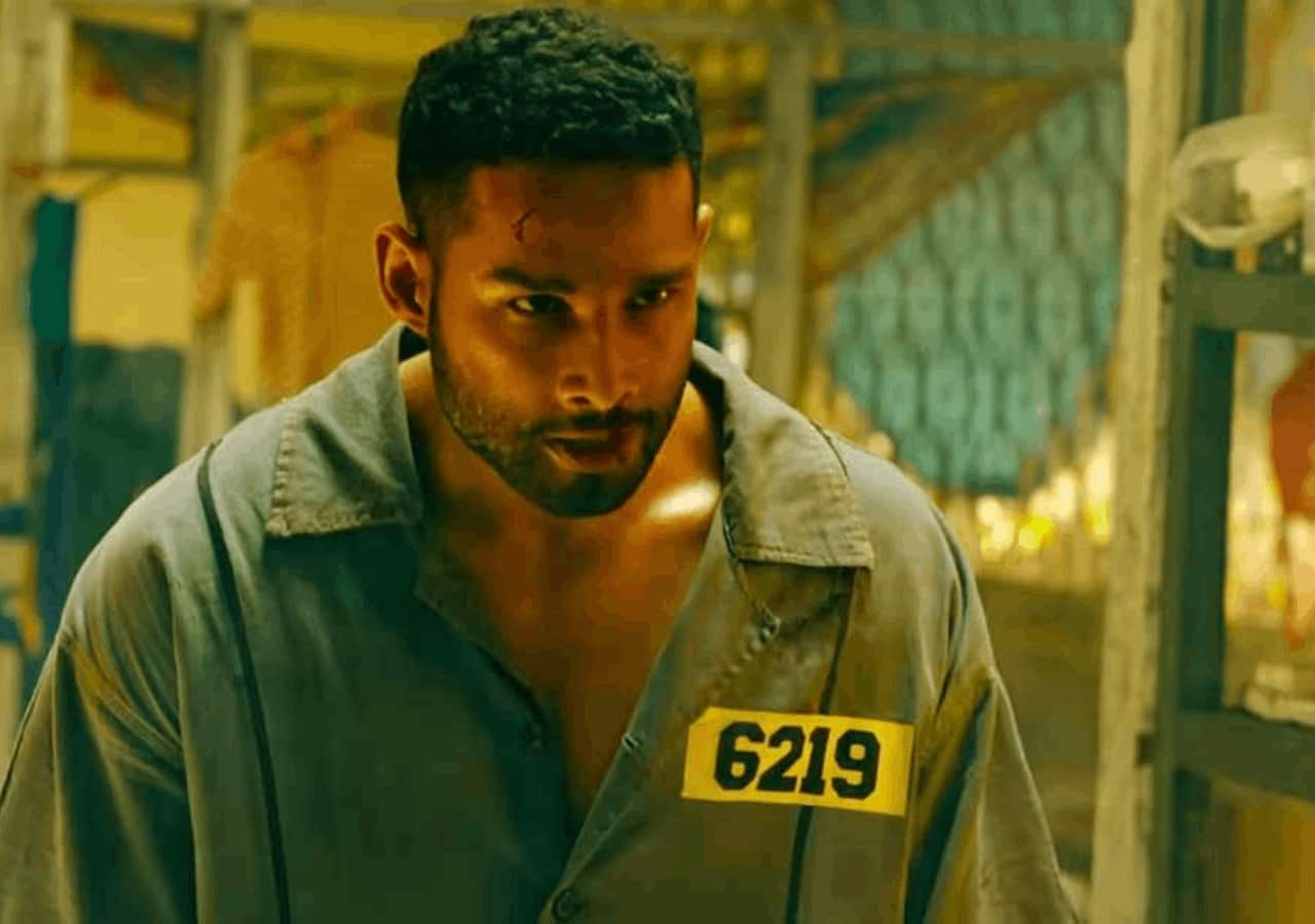 Yudhra box office collection day 2: After a good start, Siddhant Chaturvedi, Raghav Juyal movie sees a massive drop in numbers on first Saturday