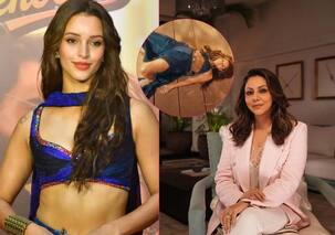 Tripti Dimri के डांस को घटिया बताने वाली पोस्ट पर Gauri Khan का रिएक्शन, सोशल मीडिया पर फिर मचा कोहराम