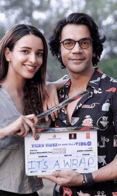 Before Vicky Vidya Ka Woh Wala Video, here are real celeb MMS leaks that shocked the industry