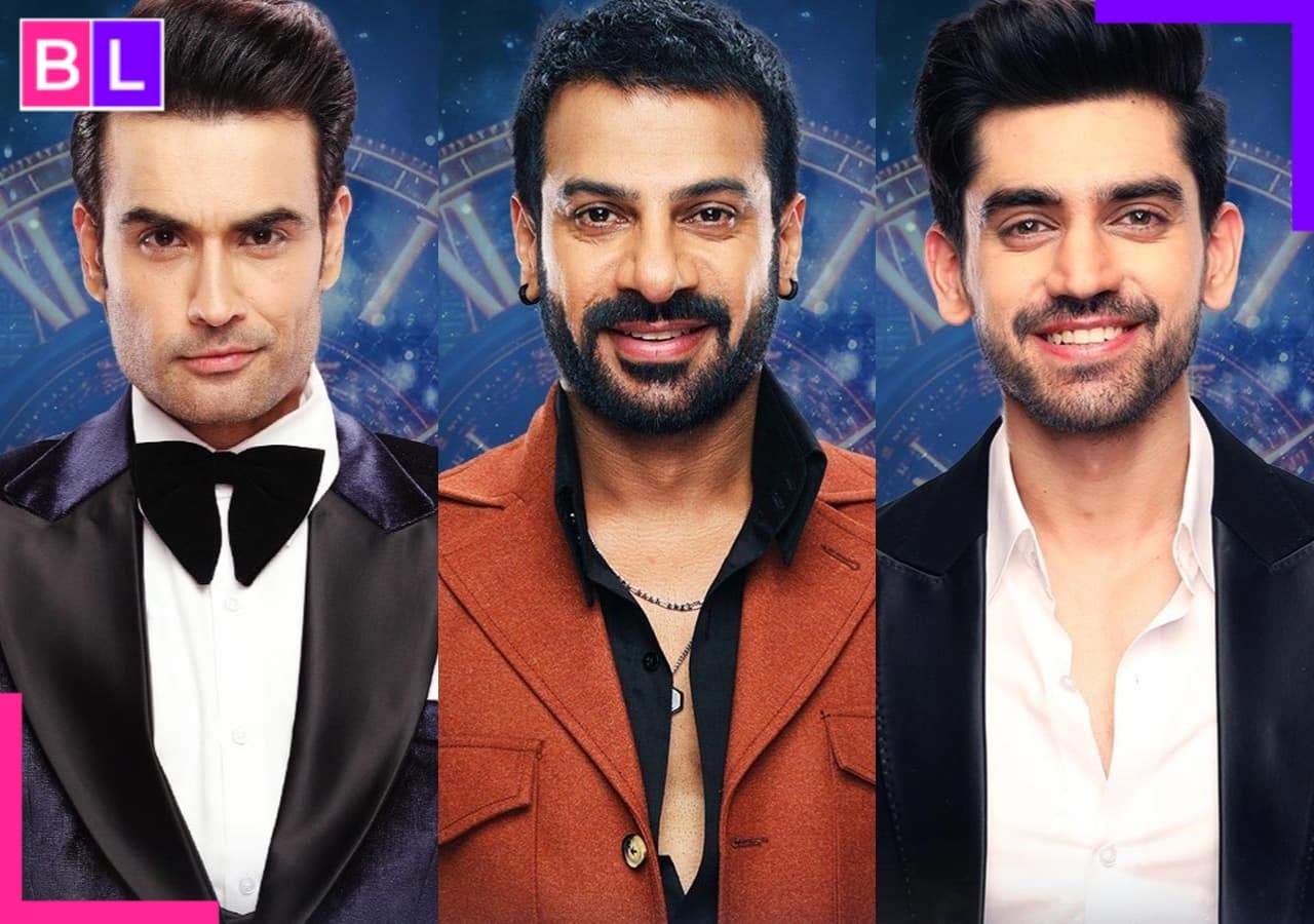 Vivian Dsena, Karanveer Mehra, Avinash Mishra rule hearts