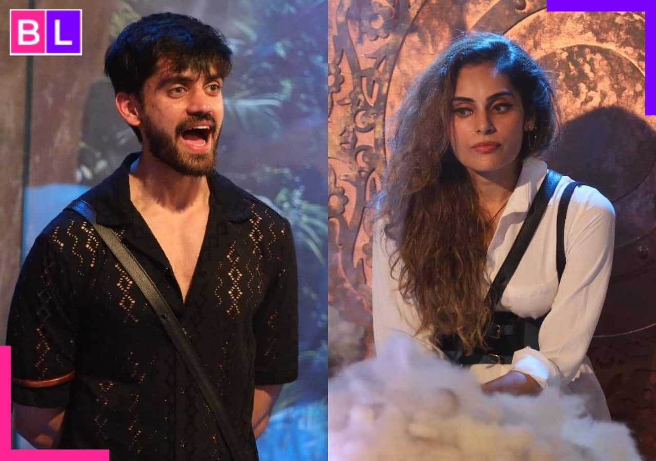 THIS ex-contestant slams Avinash Mishra post his fights with Shrutika Arjun