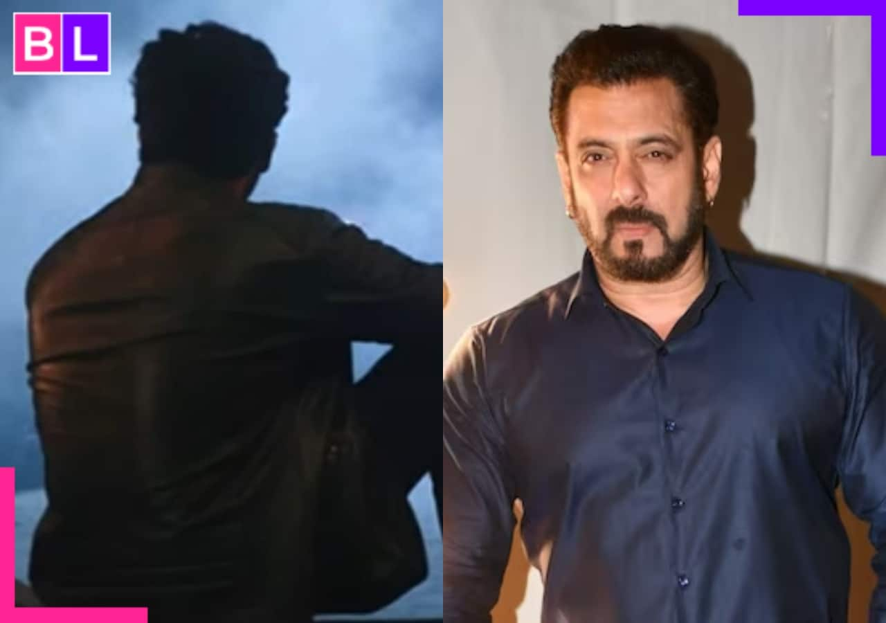 Bigg Boss 18: Meet the actor who was removed from a top TV serial is set to enter the Salman Khan's show