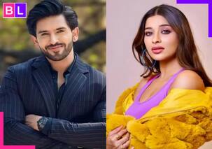 Bigg Boss 18: Shehzada Dhami and Nyrraa Banerji are the new lovebirds of Salman Khan's reality show?