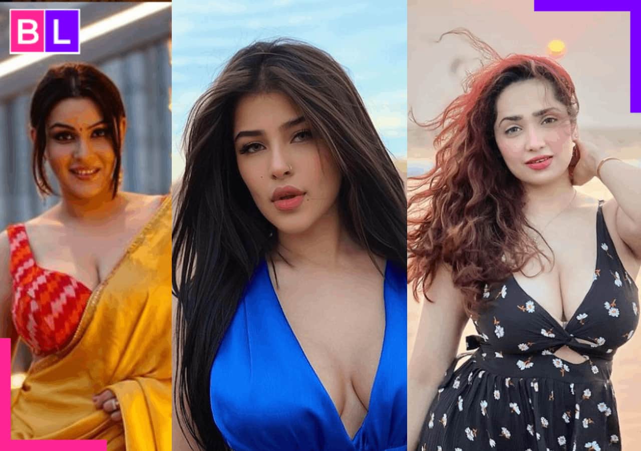 Bigg Boss 18 Aditi Mistry, Edin Rose, Yamini Malhotra are new wildcard