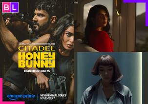 Before Citadel: Honey Bunny, should you watch Citadel and Citadel Diana? Timeline explained