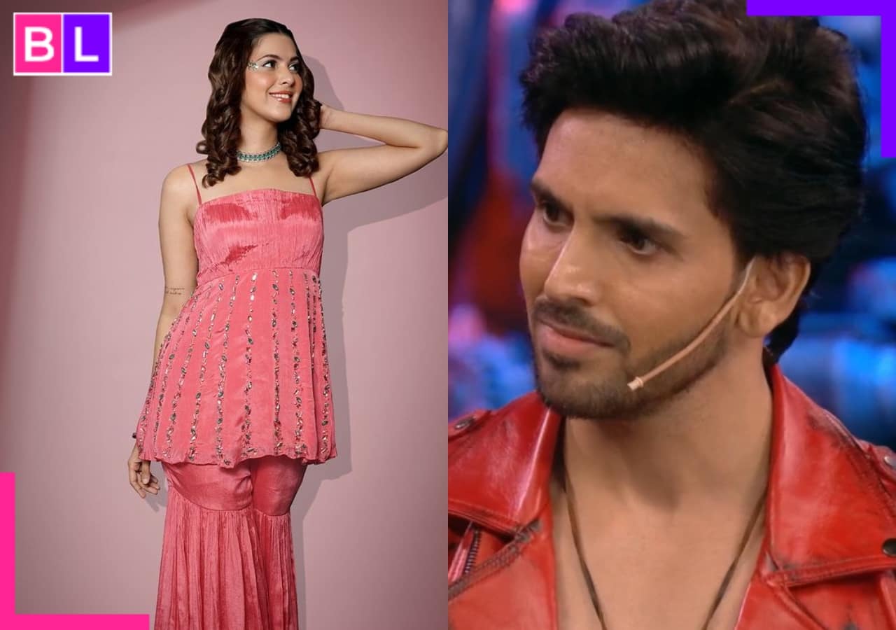 Shehzada Dhami, Alice Kaushik or Arfeen Khan, who will get eliminated?