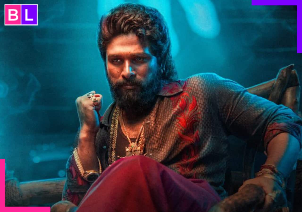 Allu Arjun’s film sets a new record, becomes the fastest to achieve THIS milestone in Hindi Allu Arjun’s film sets a new record, becomes the fastest to achieve THIS milestone in Hindi