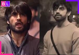Bigg Boss 18: Vivian Dsena पर फूटा Avinash Mishra का गुस्सा, सबके सामने लताड़ा; अब क्या करेगा 'बिग बॉस का लाडला’?