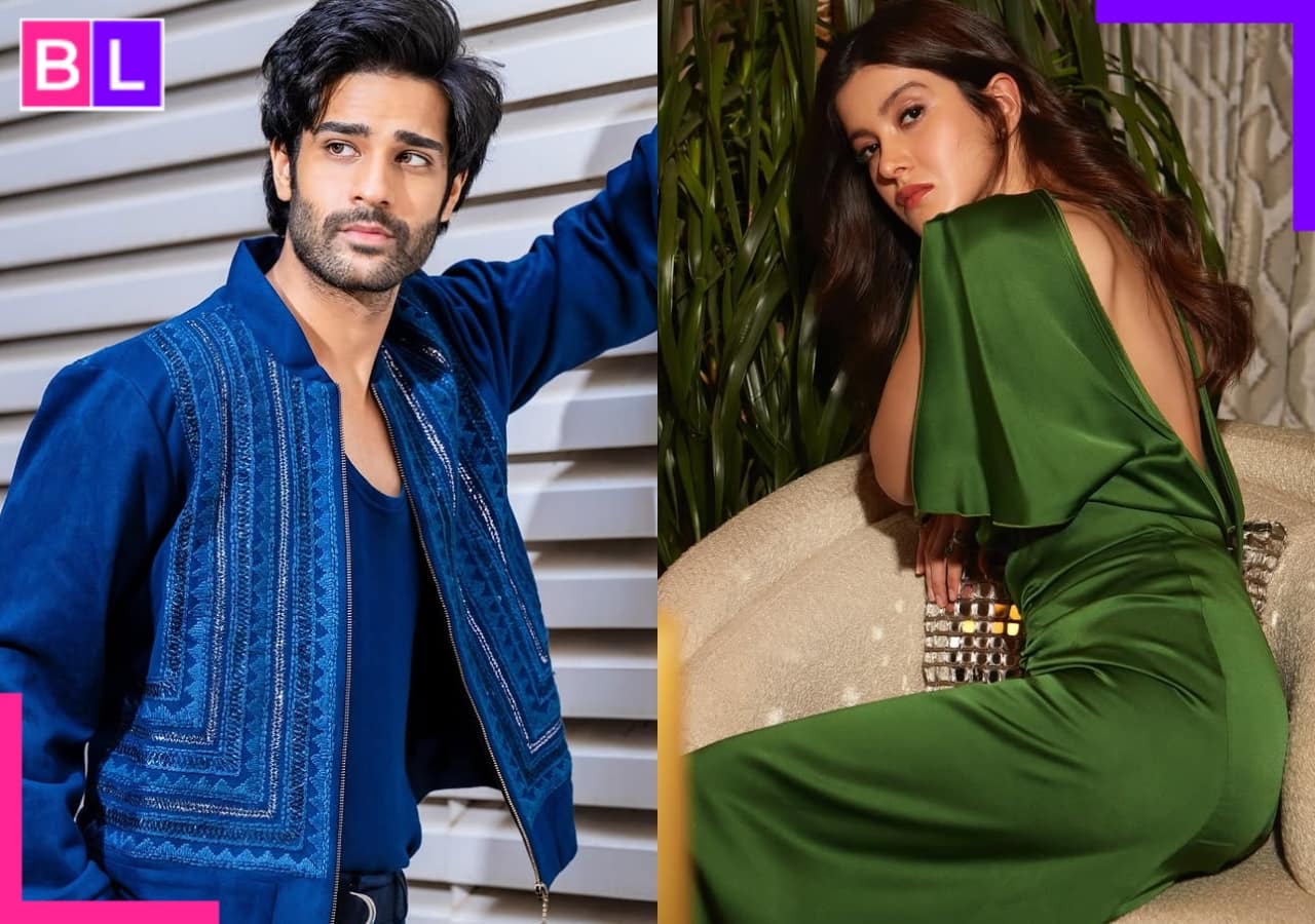 Aaman Devgan and Rasha Thadani to Shanaya Kapoor, actors who will make film debut in 2025