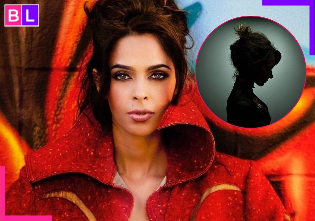 Mallika Sherawat records her Statement to ED: ED ने भेजा मल्लिका शेरावत को  समन, फैंस के बीच मची खलबली