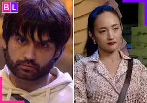 Bigg Boss 18: Vivian Dsena gives up his 'Ticket To Finale' for Chum Darang; Avinash Mishra says 'He doesn't deserve to be in the finale'