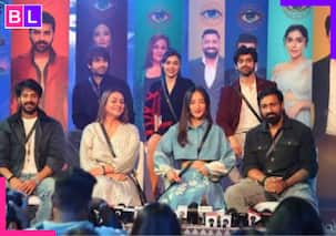 Bigg Boss 18 finale voting: Karan Veer Mehra, Vivian Dsena and others announced as Top 6; who will win?