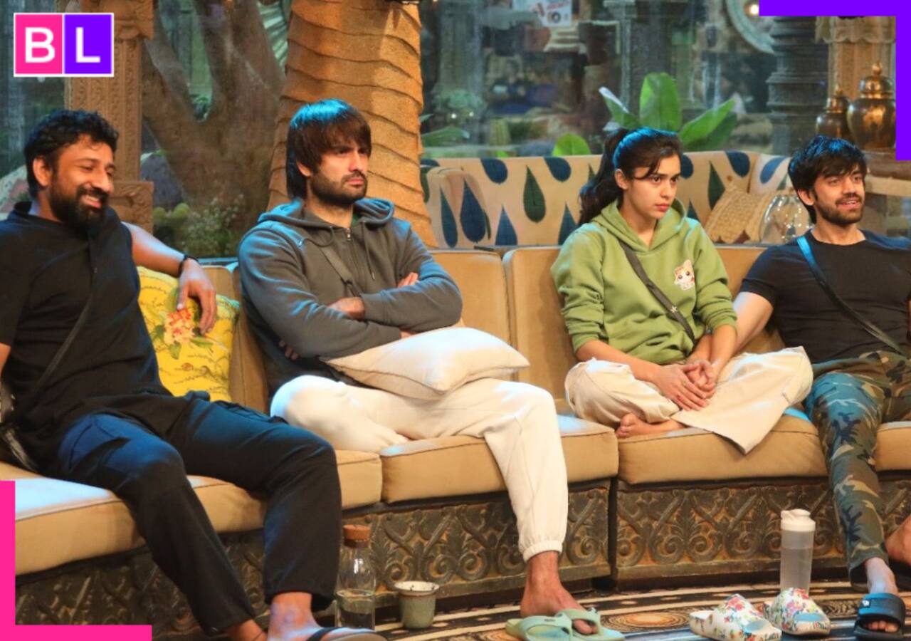 Bigg Boss 18: Not Chum Darang, Karan Veer Mehra or Vivian Dsena, but THIS contestant might take the money briefcase; a look at the top 5 finalist