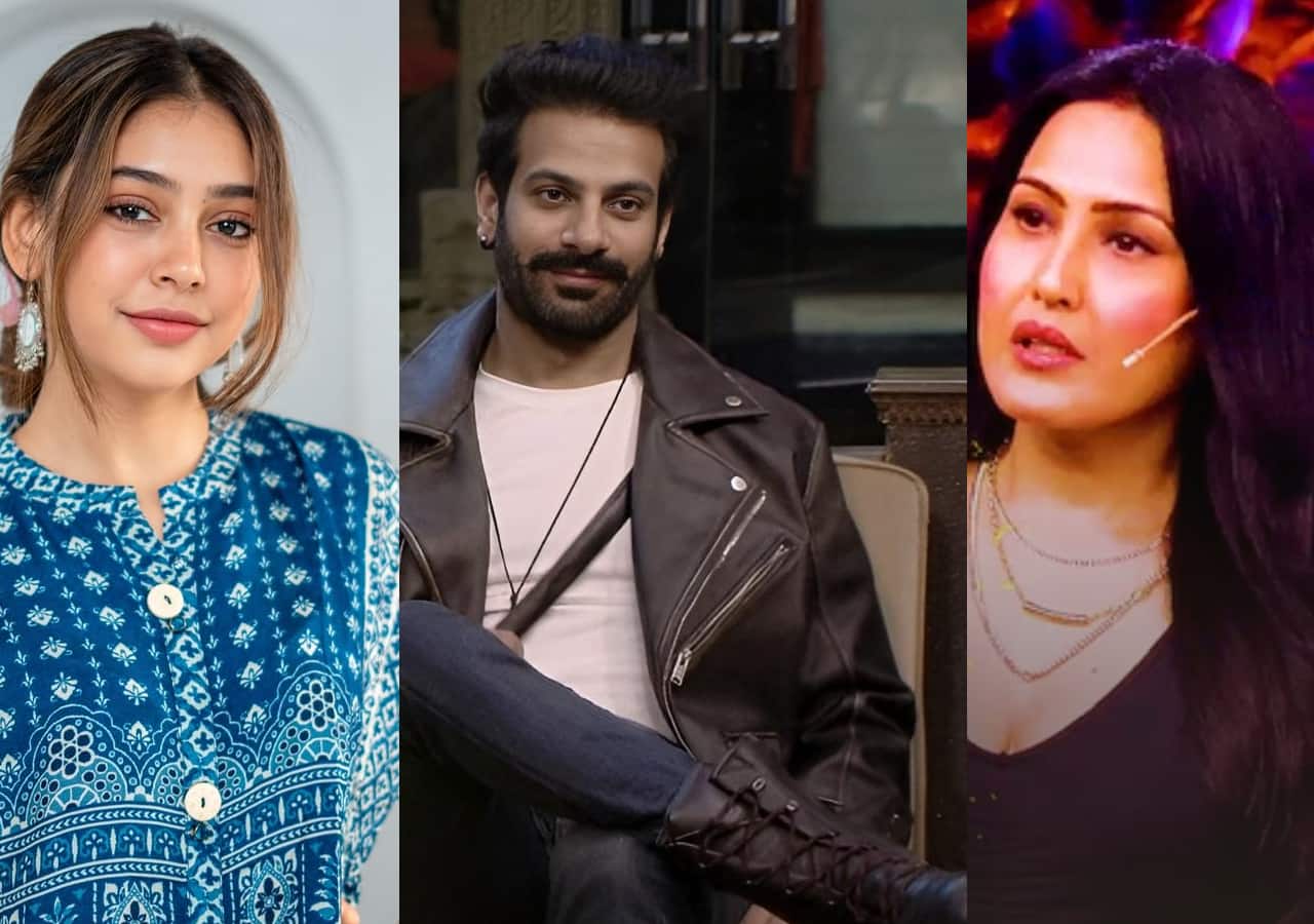Niti Taylor and Kamya Punjabi come out in support of Karan Veer Mehra, say he’s being ‘unfairly targeted’
