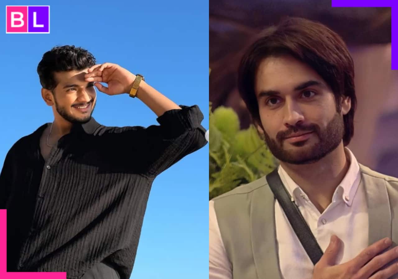 Bigg Boss 18: Munawar Faruqui, Aly Goni, Reem Shaikh and others support Vivian Dsena, make strong vote appeals before finale