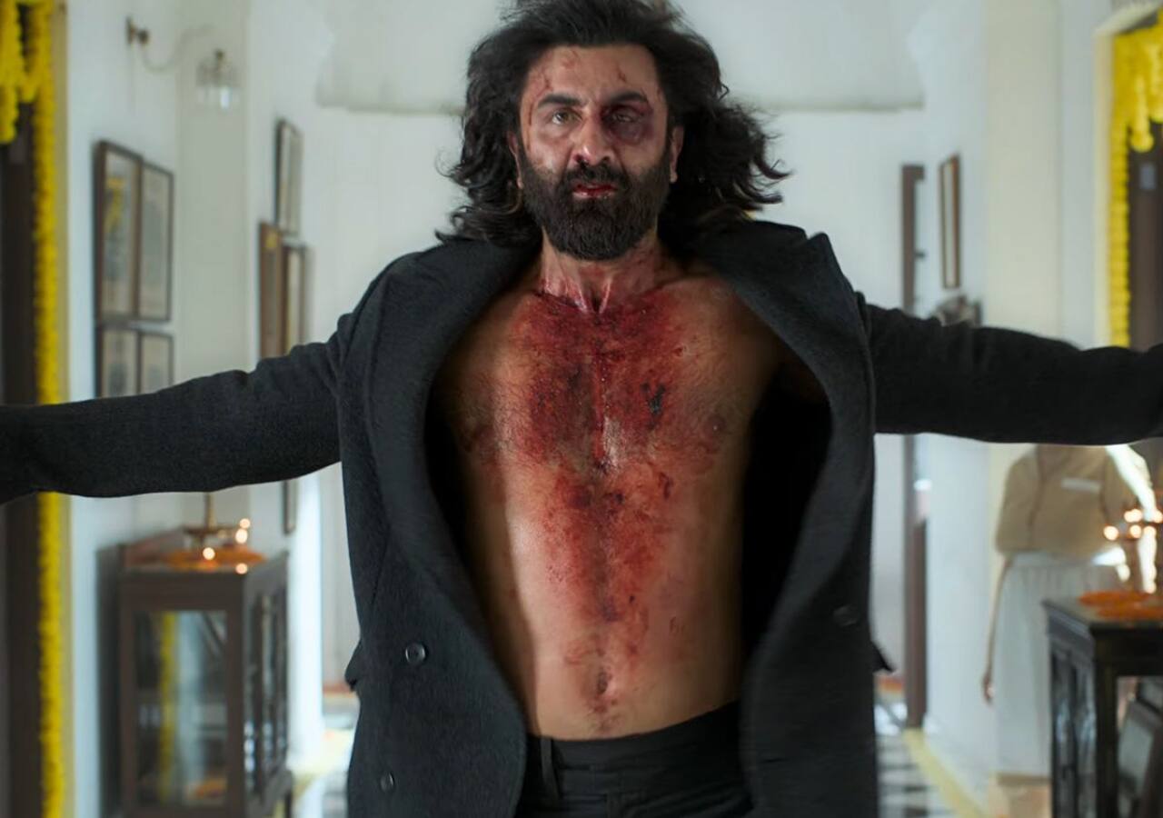 Films shot at Pataudi palace