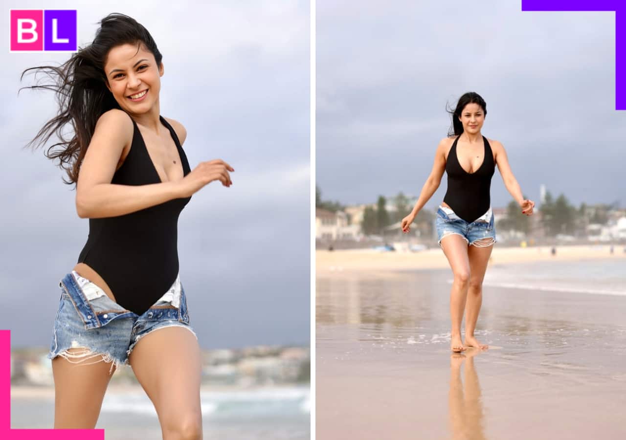 Shehnaaz Gill slammed for her bold photoshoot in a swimsuit and unzipped denim shorts: ‘Aag lage ese…’ Shehnaaz Gill slammed for her bold photoshoot in a swimsuit and unzipped denim shorts: ‘Aag lage ese…’