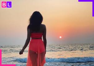 Meet TV actress who was once a highest-paid star, appeared in Bigg Boss, quit acting because..., now owns business worth Rs 13,00,00,000