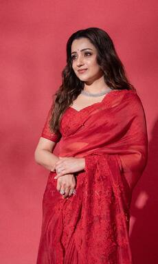 Nayantara, Tamannaah Bhatia, Trisha Krishnan: Meet highest paid South Indian actresses