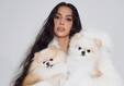 bollywoodlife.com photo