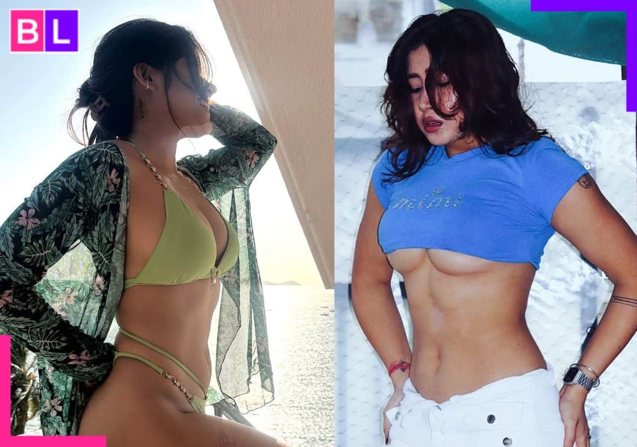 Sofia Ansari: A look at her controversies, lavish lifestyle, net worth and  more