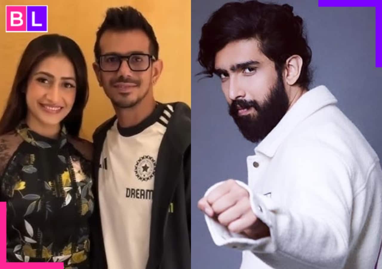 Yuzvendra Chahal-Dhanashree Verma granted divorce, Amaal Malik breaks ties with household