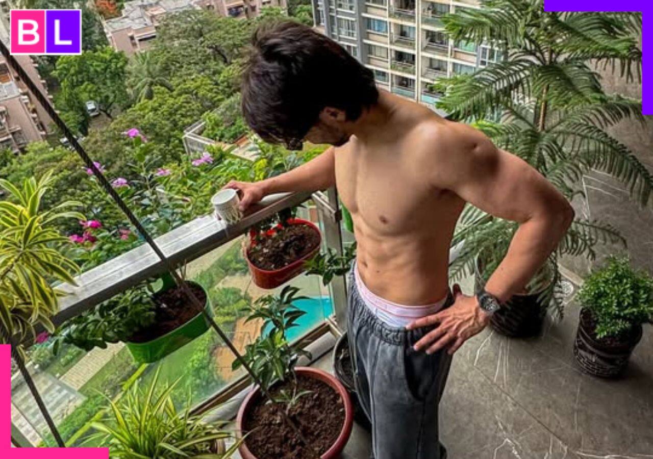 Meet the Influencer who went from earning ₹50 per day as a salesman to owning a BMW Faisal Shaikh: Meet MasterChef Celebrity star who earned Rs 50 as a salesman Meet the Influencer who went from earning ₹50 per day as a salesman to owning a BMW Faisal Shaikh: Meet MasterChef Celebrity star who earned Rs 50 as a salesman
